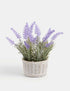 Marks & Spencer "Artificial Lavender Plant in Resin Wicker Pot"
